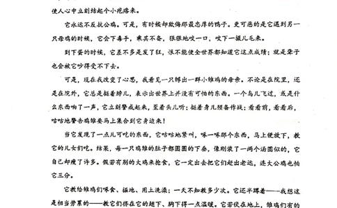 007-讲义_小学生作文专项名师课合集16套小学~视频+PDF_022.跟谁学无忧作文_讲义_无忧作文讲义（10.13)