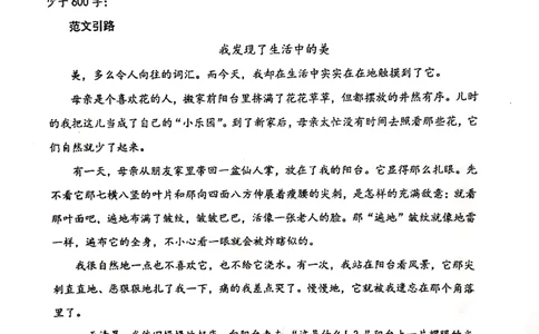 007-讲义_小学生作文专项名师课合集16套小学~视频+PDF_022.跟谁学无忧作文_讲义_无忧作文讲义（10.13)