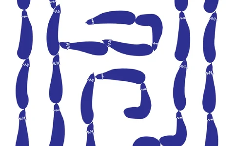 可爱迷宫蔬菜主题_00_幼小语数英专项资料_幼小数学专项