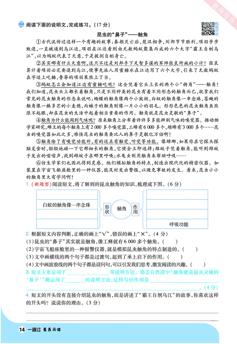 2025秋一遍过语文RJ5上素养阅读_五年级上册_素养阅读