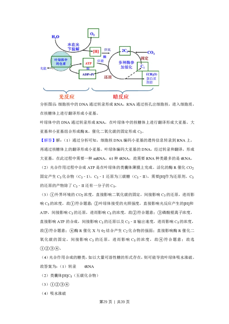 2019年高考生物试卷（江苏）（解析卷）_生物历年高考真题_新&middot;PDF版2008-2025&middot;高考生物真题_生物（按省份分类）2008-2025_2008-2025&middot;（江苏）生物高考真题