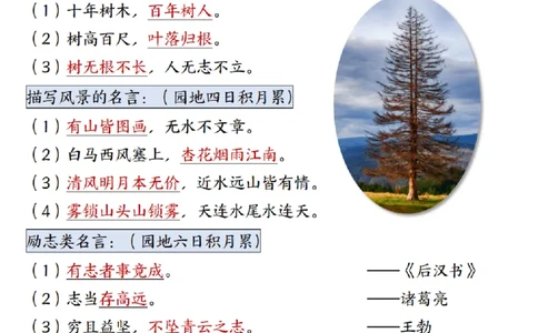 二年级上册语文期末总复习重点知识点归纳整理（小张老师整理）_1-6语文上册知识点