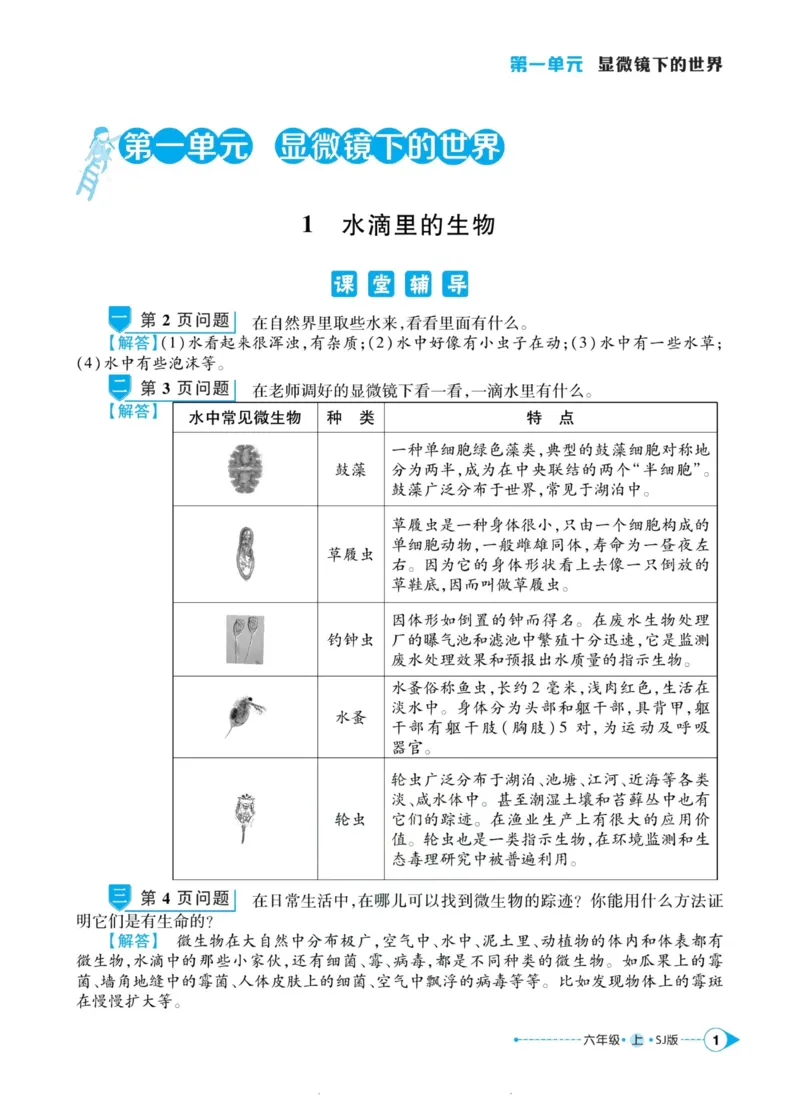 科学苏教版左记右练6年级上册_2024年人教版小学数学一二三四五六年级上册下册期中期末试a0747_小学全科《同步练习+精品试卷》打包下载（1-6年级单元月考期中期末试卷）_小学科学