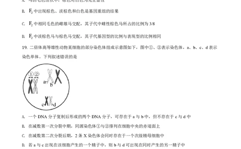 2020年高考生物试卷（浙江）（1月）（空白卷）_生物历年高考真题_新&middot;PDF版2008-2025&middot;高考生物真题_生物（按试卷类型分类）2008-2025_自主命题卷&middot;生物（2008-2025）