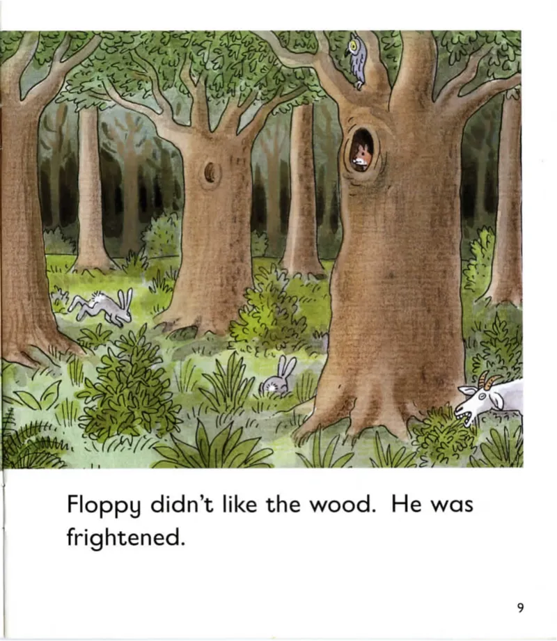 5-03TheDragonTree_Frank（小毛怪）老师爆笑阅读单词课（50个故事3000词）_牛津树5级别穿越单词课课件