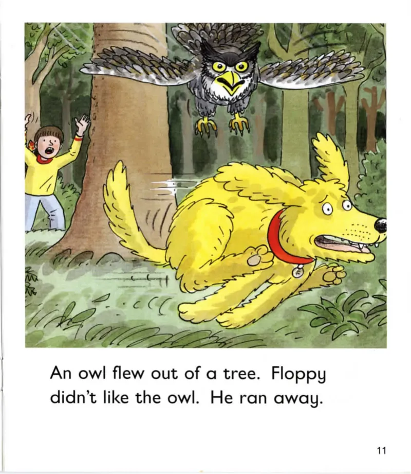 5-03TheDragonTree_Frank（小毛怪）老师爆笑阅读单词课（50个故事3000词）_牛津树5级别穿越单词课课件