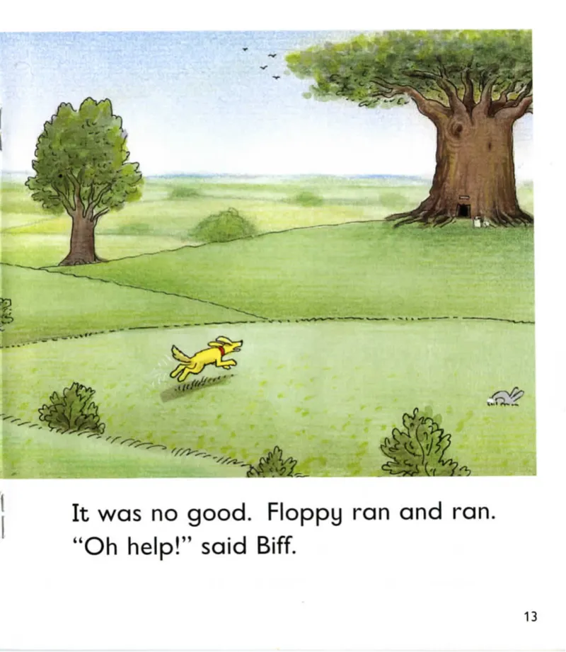 5-03TheDragonTree_Frank（小毛怪）老师爆笑阅读单词课（50个故事3000词）_牛津树5级别穿越单词课课件