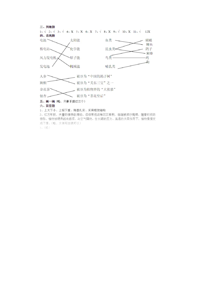人教版六年级上册科学期末试卷及答案_2024年人教版小学数学一二三四五六年级上册下册期中期末试a0747_小学全科《同步练习+精品试卷》打包下载（1-6年级单元月考期中期末试卷）
