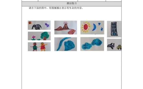 0902二年级科学(教科版)地球家园中有什么-4课后练习_二年级上下册资料_小学二年级学习资料-25年更新版_2-09、小学二年级科学上册_教科版_课时练