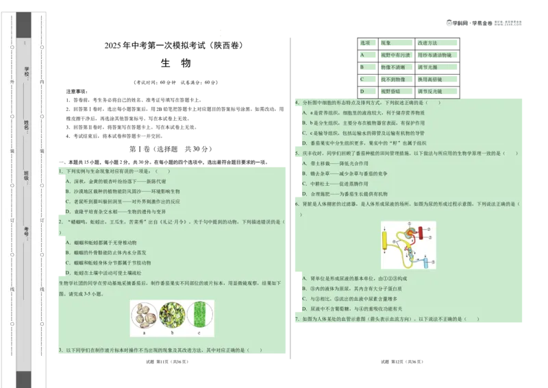 生物（陕西卷）（考试版A3）_2025年初中《中考第一次模拟》全国各地区模拟卷（8科全）(1)_2025年《中考第一次模拟卷》初中生物_陕西&radic;