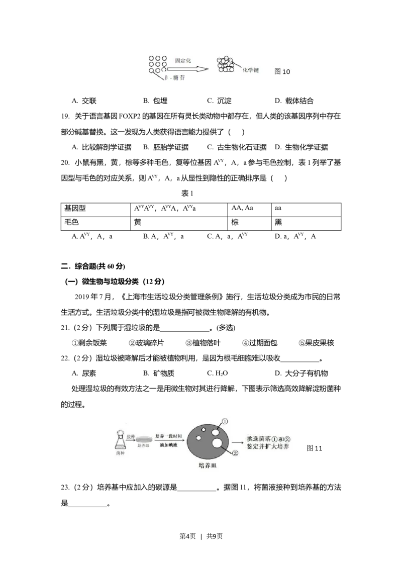 2019年高考生物试卷（上海）（空白卷）_生物历年高考真题_新&middot;Word版2008-2025&middot;高考生物真题_生物（按试卷类型分类）2008-2025_自主命题卷&middot;生物（2008-2025）_上海自主命题&middot;生物（2008-2022）