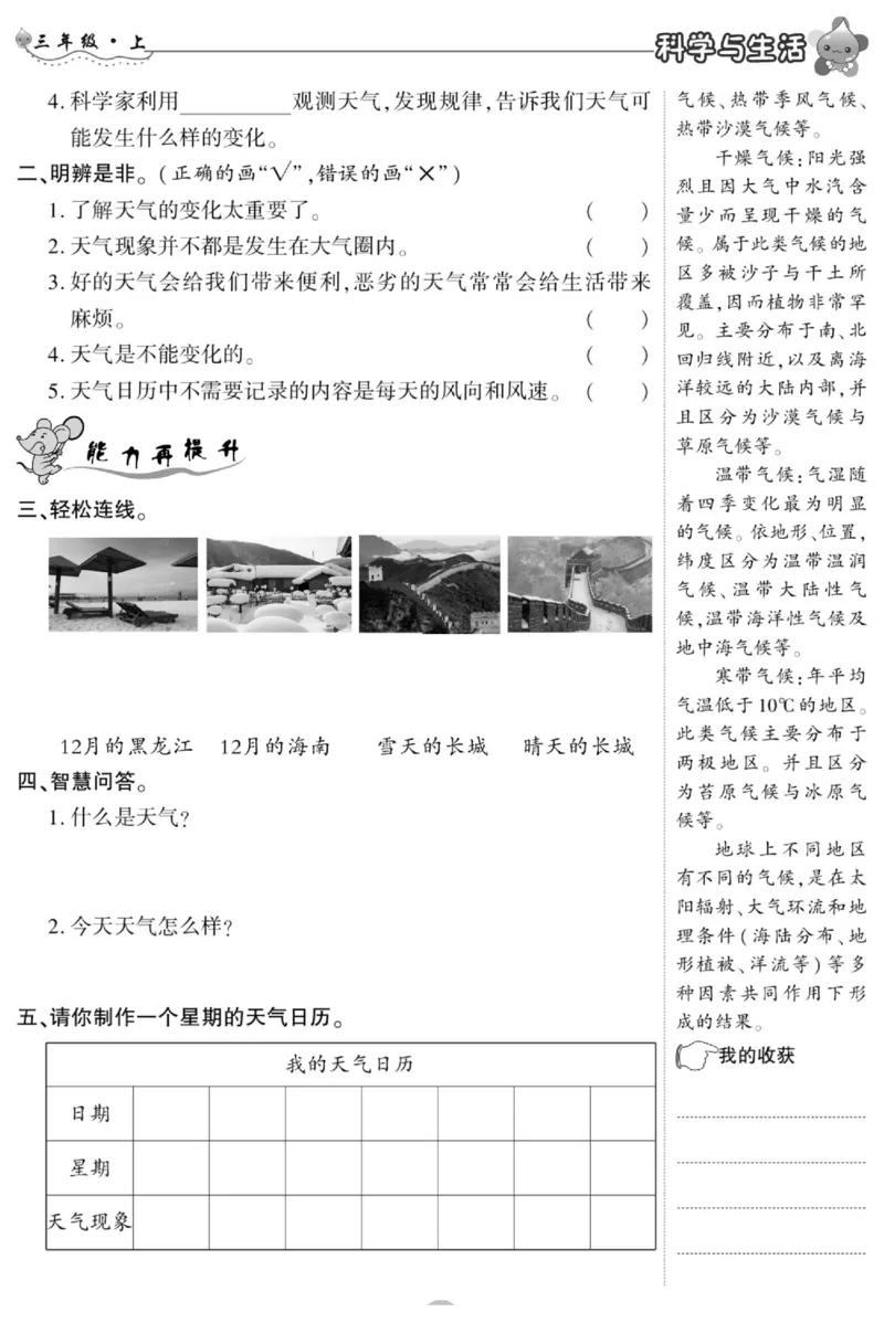 科学与生活三年级上册教科版_2024年人教版小学数学一二三四五六年级上册下册期中期末试a0747_小学全科《同步练习+精品试卷》打包下载（1-6年级单元月考期中期末试卷）_小学科学