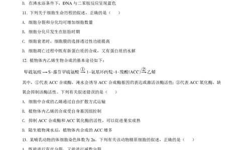 2020年高考生物试卷（海南）（空白卷）_生物历年高考真题_新&middot;PDF版2008-2025&middot;高考生物真题_生物（按省份分类）2008-2025_2008-2024&middot;（海南）生物高考真题