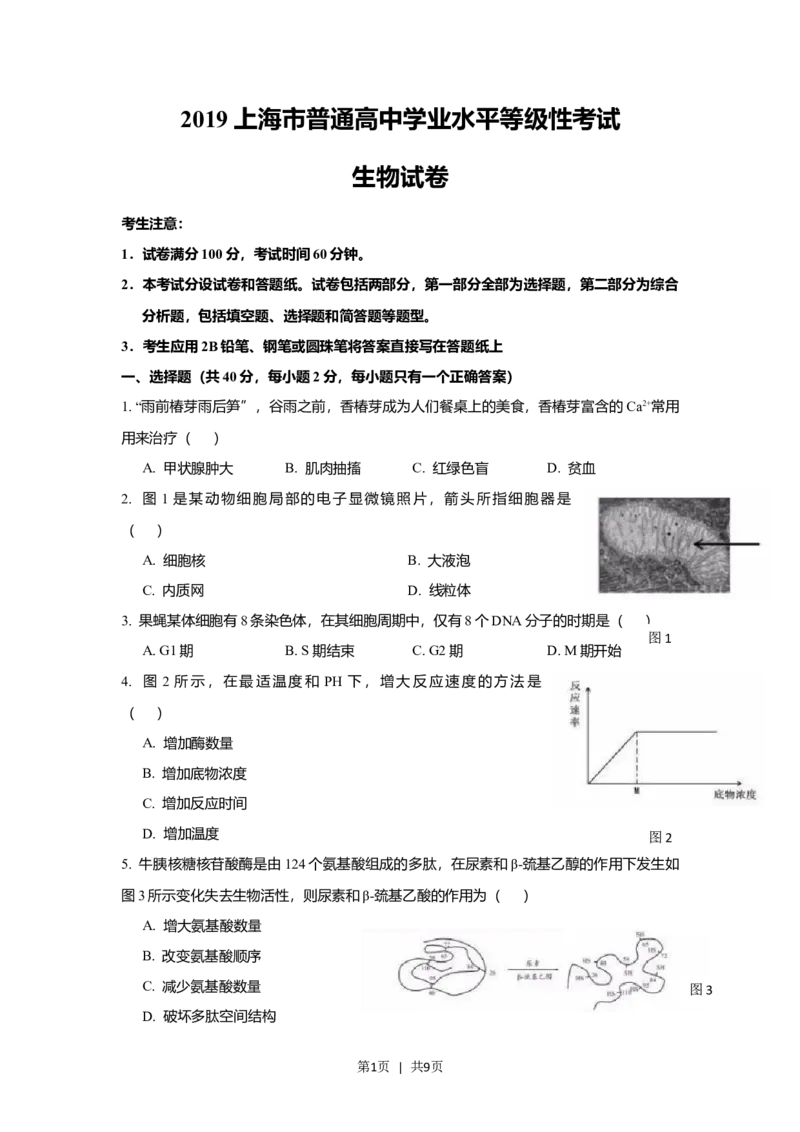 2019年高考生物试卷（上海）（空白卷）_生物历年高考真题_新&middot;Word版2008-2025&middot;高考生物真题_生物（按省份分类）2008-2025_2008-2022&middot;（上海）生物高考真题