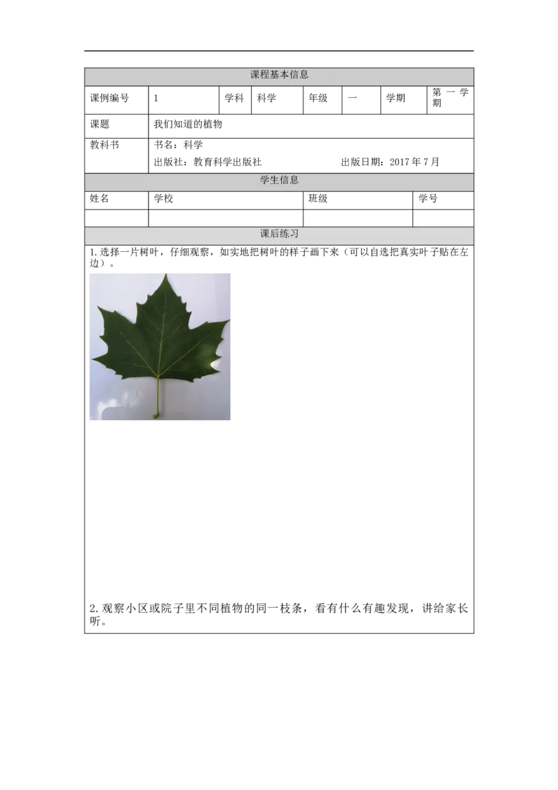 0916一年级科学(教科版)观察叶-4练习题_一年级上下册资料_小学一年级学习资料-25年更新版_1-09、小学一年级科学上册_教科版_课时练