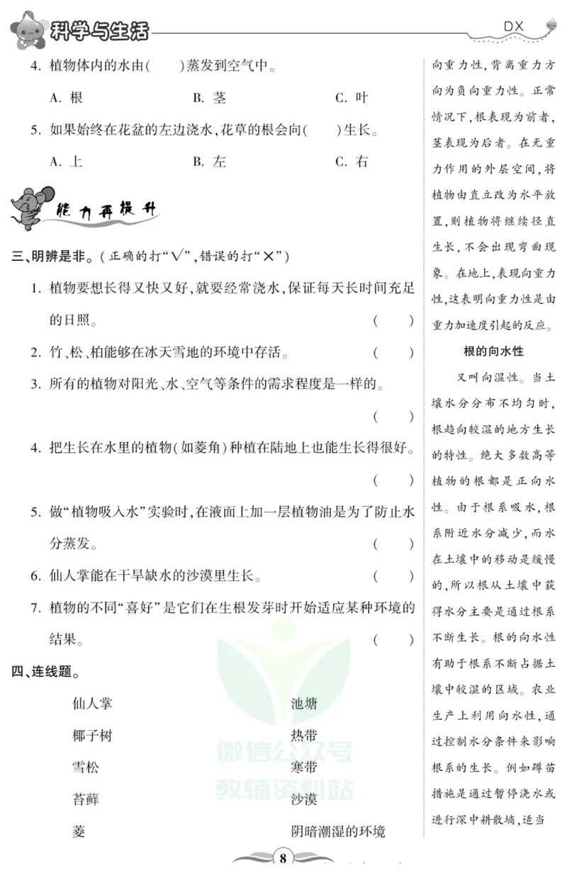 智能训练&middot;科学六年级上册大象版_2024年人教版小学数学一二三四五六年级上册下册期中期末试a0747_小学全科《同步练习+精品试卷》打包下载（1-6年级单元月考期中期末试卷）_小学科学