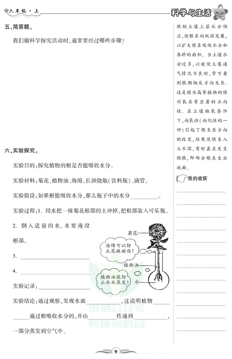 智能训练&middot;科学六年级上册大象版_2024年人教版小学数学一二三四五六年级上册下册期中期末试a0747_小学全科《同步练习+精品试卷》打包下载（1-6年级单元月考期中期末试卷）_小学科学