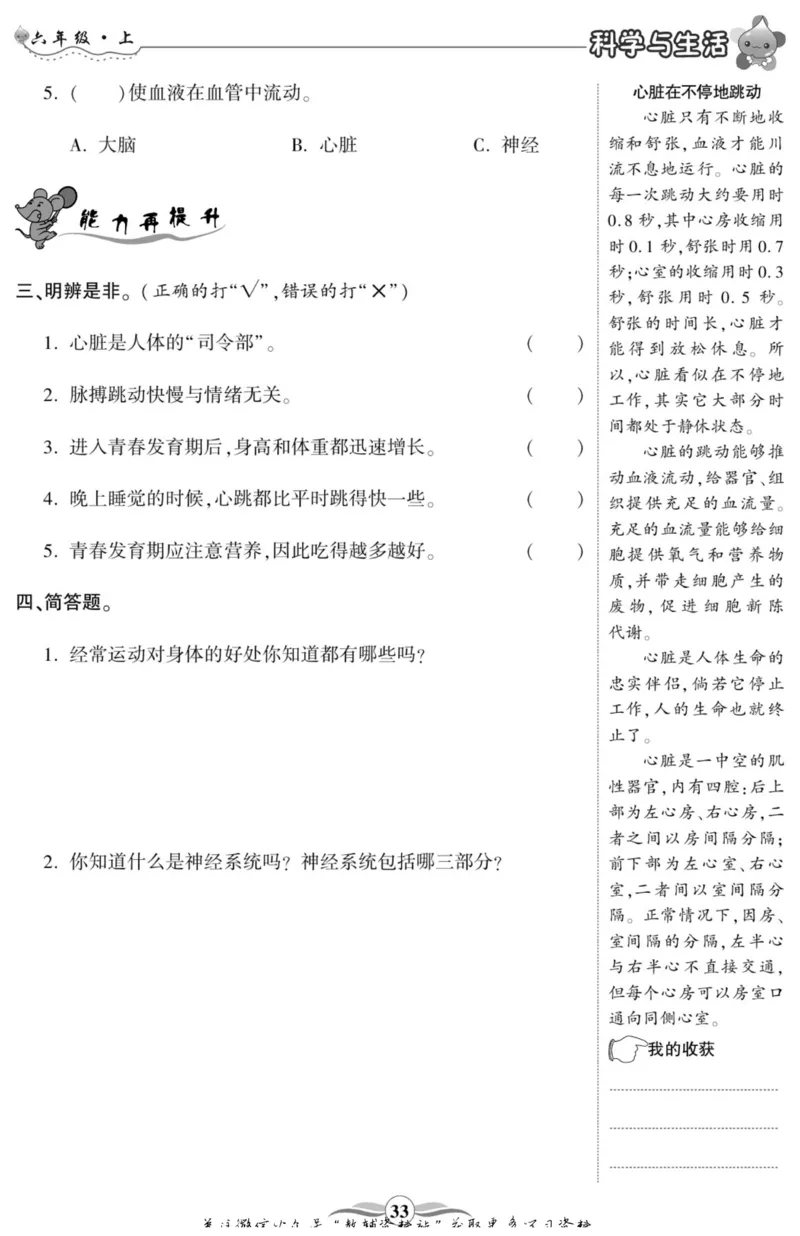 智能训练&middot;科学六年级上册大象版_2024年人教版小学数学一二三四五六年级上册下册期中期末试a0747_小学全科《同步练习+精品试卷》打包下载（1-6年级单元月考期中期末试卷）_小学科学