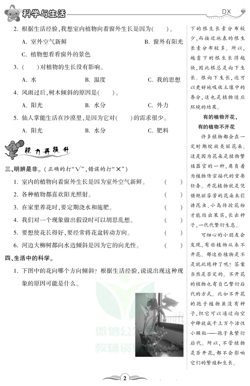 智能训练&middot;科学六年级上册大象版_2024年人教版小学数学一二三四五六年级上册下册期中期末试a0747_小学全科《同步练习+精品试卷》打包下载（1-6年级单元月考期中期末试卷）_小学科学