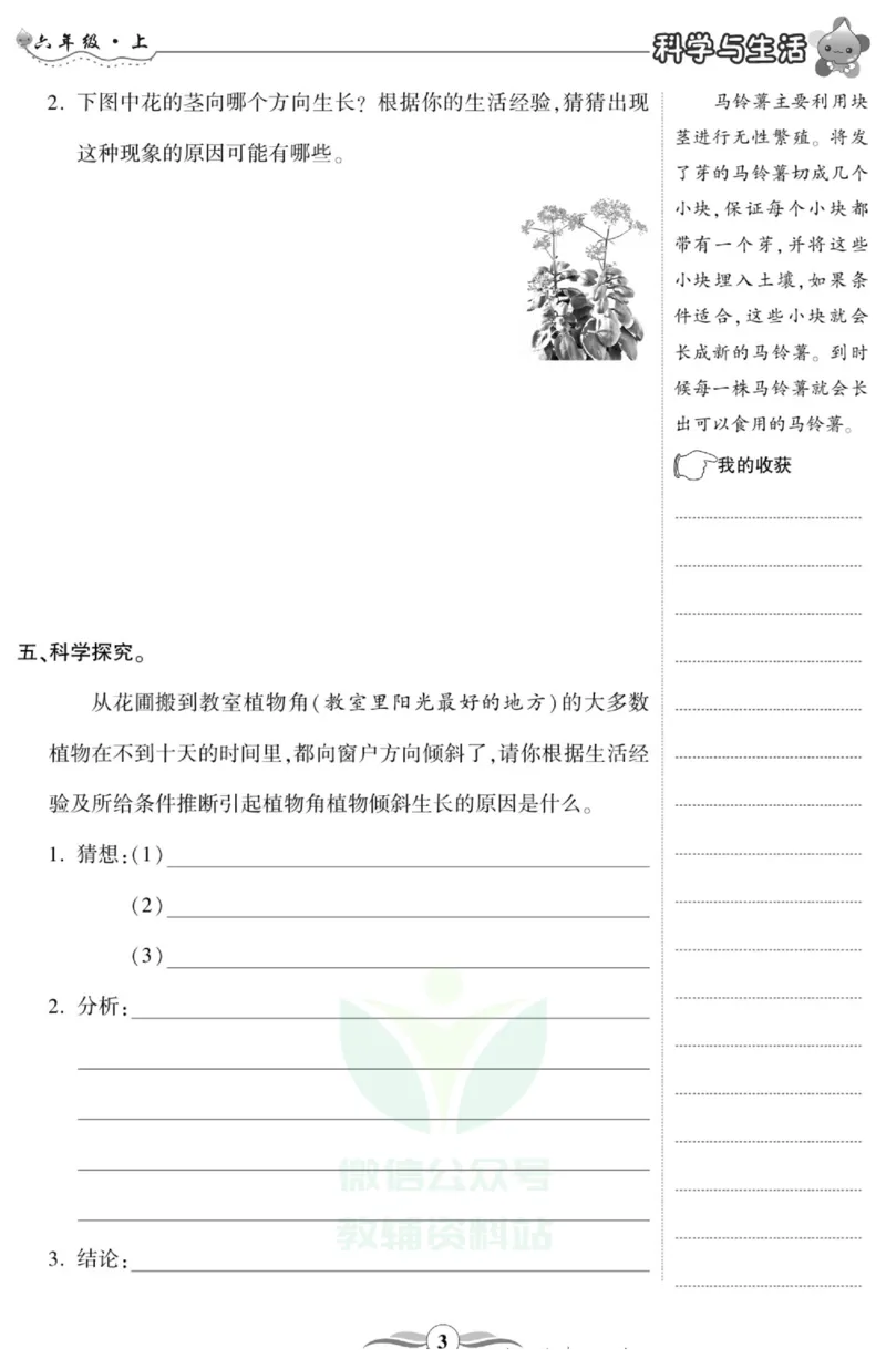 智能训练&middot;科学六年级上册大象版_2024年人教版小学数学一二三四五六年级上册下册期中期末试a0747_小学全科《同步练习+精品试卷》打包下载（1-6年级单元月考期中期末试卷）_小学科学