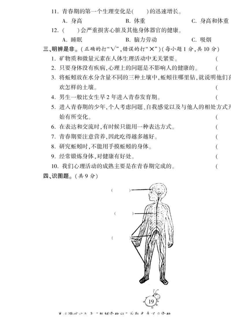 智能训练&middot;科学六年级上册大象版_2024年人教版小学数学一二三四五六年级上册下册期中期末试a0747_小学全科《同步练习+精品试卷》打包下载（1-6年级单元月考期中期末试卷）_小学科学