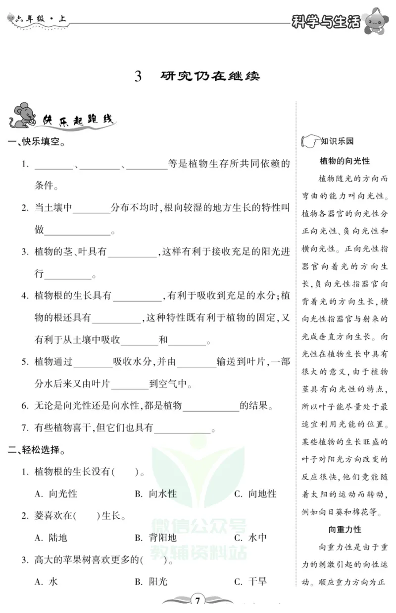 智能训练&middot;科学六年级上册大象版_2024年人教版小学数学一二三四五六年级上册下册期中期末试a0747_小学全科《同步练习+精品试卷》打包下载（1-6年级单元月考期中期末试卷）_小学科学