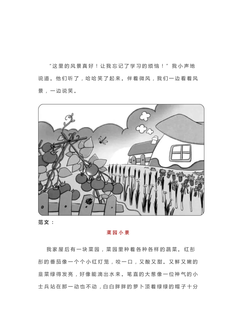 2.18一二年级各类看图写话范文50篇精选_二年级上下册资料_小学二年级学习资料-25年更新版_2-02、小学二年级语文下册_2-2-2、练习题、作业、试题、试卷_专项练习_看图写话作文类