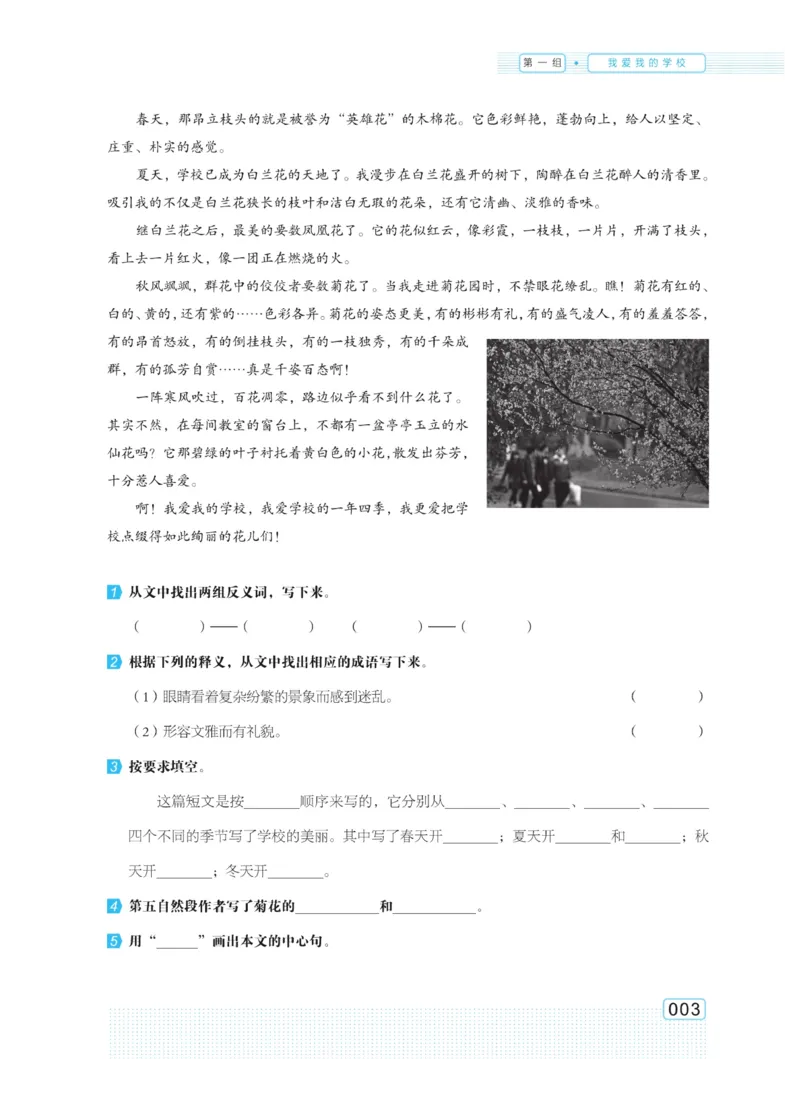 《群文阅读主题训练》语文3年级上册（RJ）