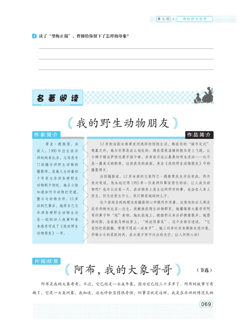 《群文阅读主题训练》语文3年级上册（RJ）