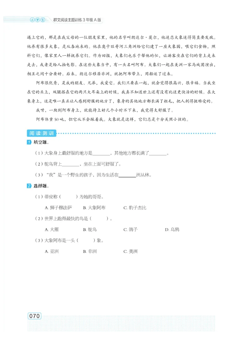 《群文阅读主题训练》语文3年级上册（RJ）