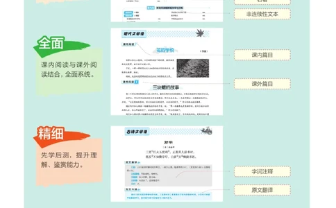 《群文阅读主题训练》语文3年级上册（RJ）