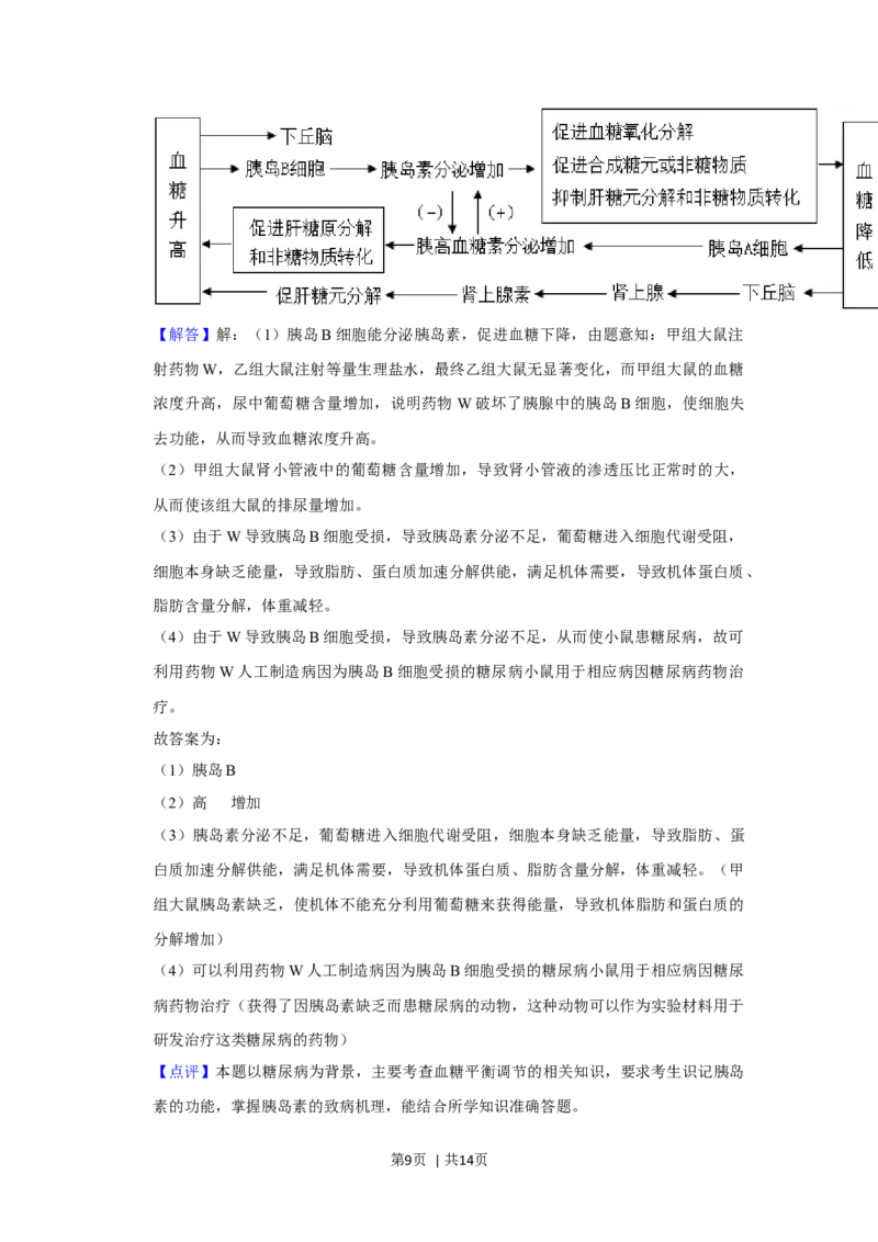 2020年高考生物试卷（新课标Ⅰ）（解析卷）_生物历年高考真题_新&middot;Word版2008-2025&middot;高考生物真题_生物（按年份分类）2008-2025_2020&middot;高考生物真题