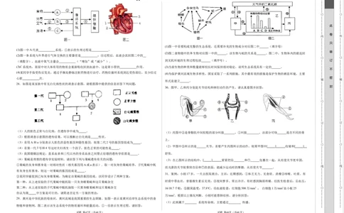 生物（湖南省卷）（考试版A3）_2025年初中《中考第一次模拟》全国各地区模拟卷（8科全）(1)_2025年《中考第一次模拟卷》初中生物_湖南&radic;