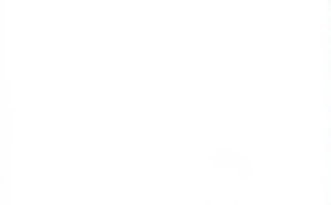 25秋《默写小达人》3年级上册英语人教pep答案_三年级(2)