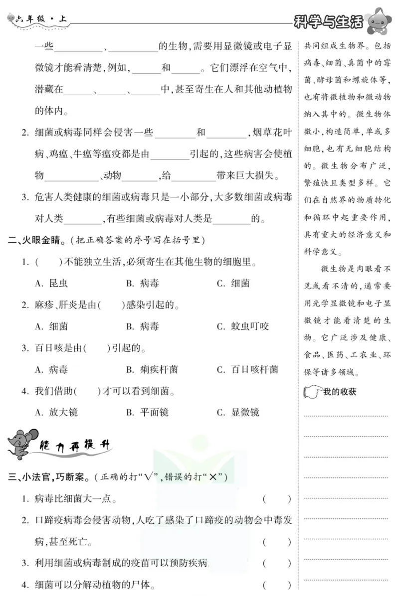 智能训练&middot;科学六年级上册冀人版_2024年人教版小学数学一二三四五六年级上册下册期中期末试a0747_小学全科《同步练习+精品试卷》打包下载（1-6年级单元月考期中期末试卷）_小学科学