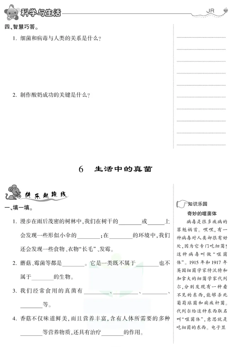 智能训练&middot;科学六年级上册冀人版_2024年人教版小学数学一二三四五六年级上册下册期中期末试a0747_小学全科《同步练习+精品试卷》打包下载（1-6年级单元月考期中期末试卷）_小学科学