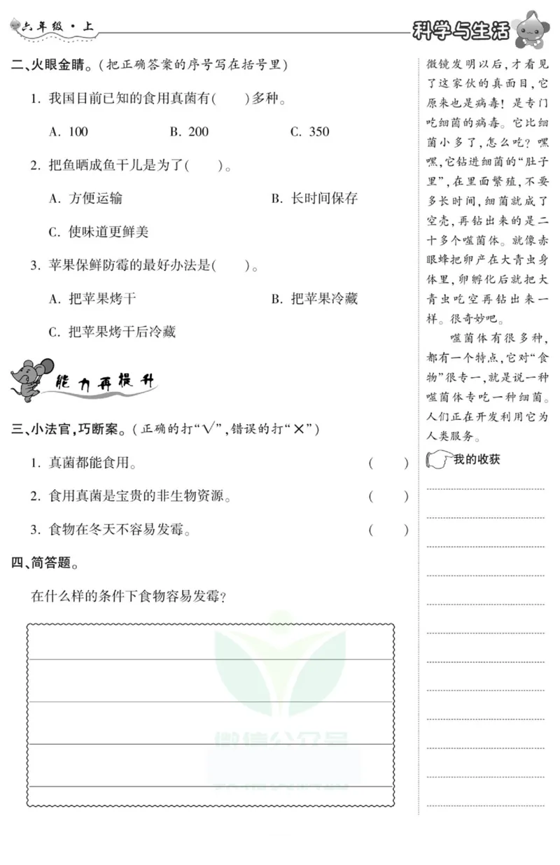 智能训练&middot;科学六年级上册冀人版_2024年人教版小学数学一二三四五六年级上册下册期中期末试a0747_小学全科《同步练习+精品试卷》打包下载（1-6年级单元月考期中期末试卷）_小学科学