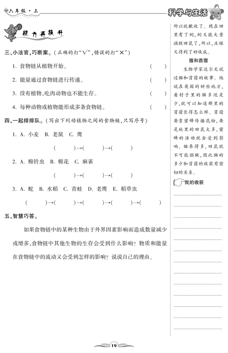 智能训练&middot;科学六年级上册冀人版_2024年人教版小学数学一二三四五六年级上册下册期中期末试a0747_小学全科《同步练习+精品试卷》打包下载（1-6年级单元月考期中期末试卷）_小学科学