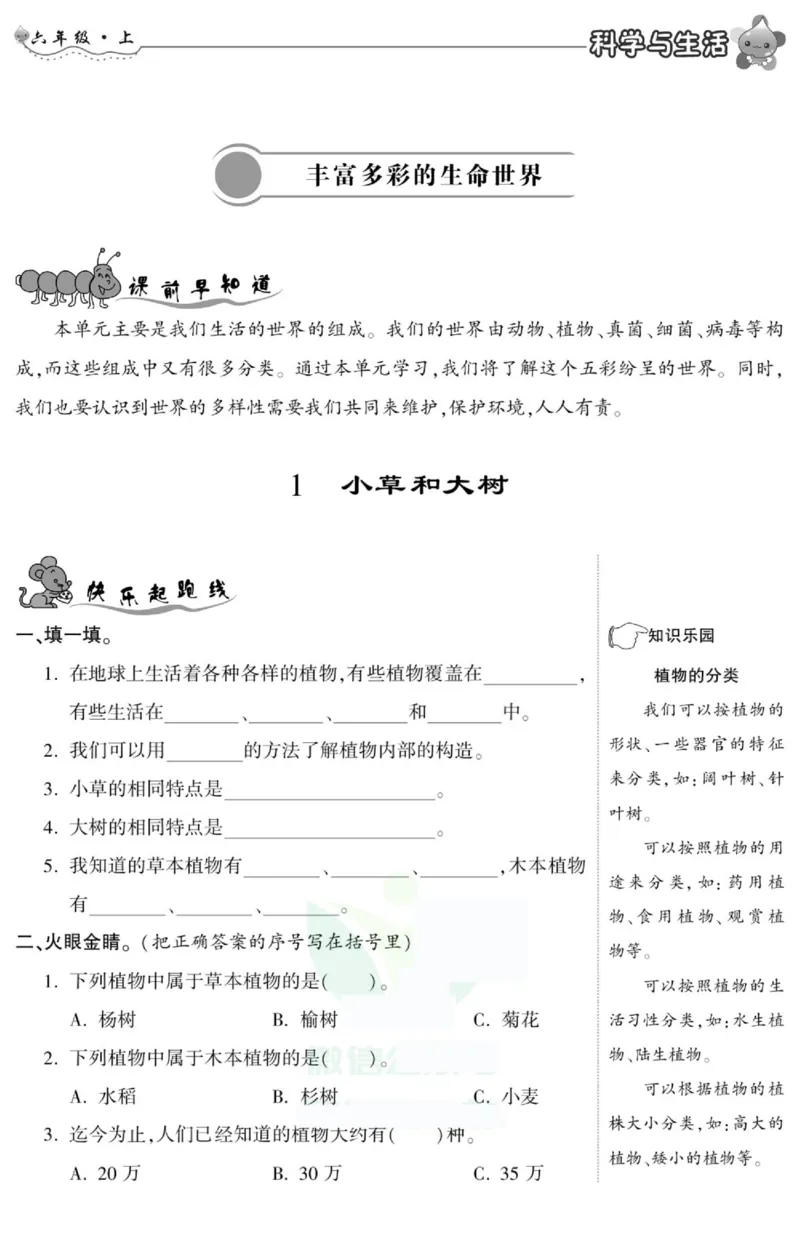 智能训练&middot;科学六年级上册冀人版_2024年人教版小学数学一二三四五六年级上册下册期中期末试a0747_小学全科《同步练习+精品试卷》打包下载（1-6年级单元月考期中期末试卷）_小学科学