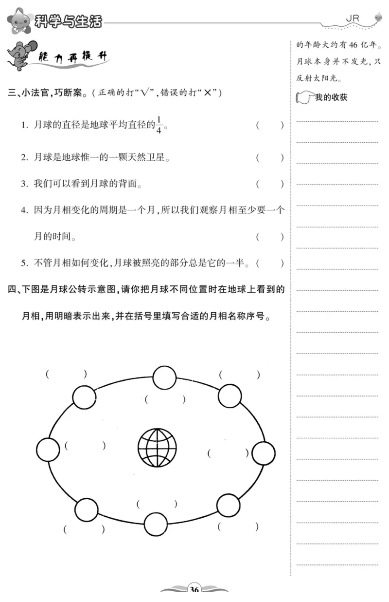 智能训练&middot;科学六年级上册冀人版_2024年人教版小学数学一二三四五六年级上册下册期中期末试a0747_小学全科《同步练习+精品试卷》打包下载（1-6年级单元月考期中期末试卷）_小学科学