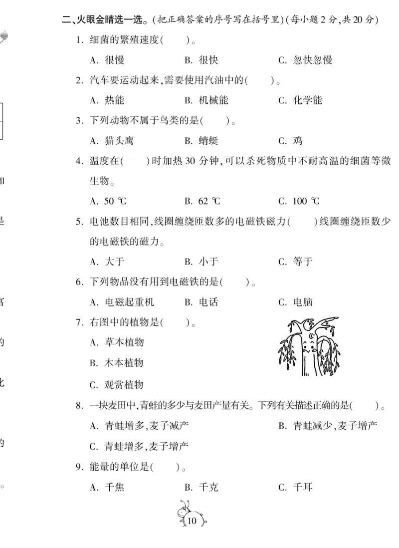 智能训练&middot;科学六年级上册冀人版_2024年人教版小学数学一二三四五六年级上册下册期中期末试a0747_小学全科《同步练习+精品试卷》打包下载（1-6年级单元月考期中期末试卷）_小学科学