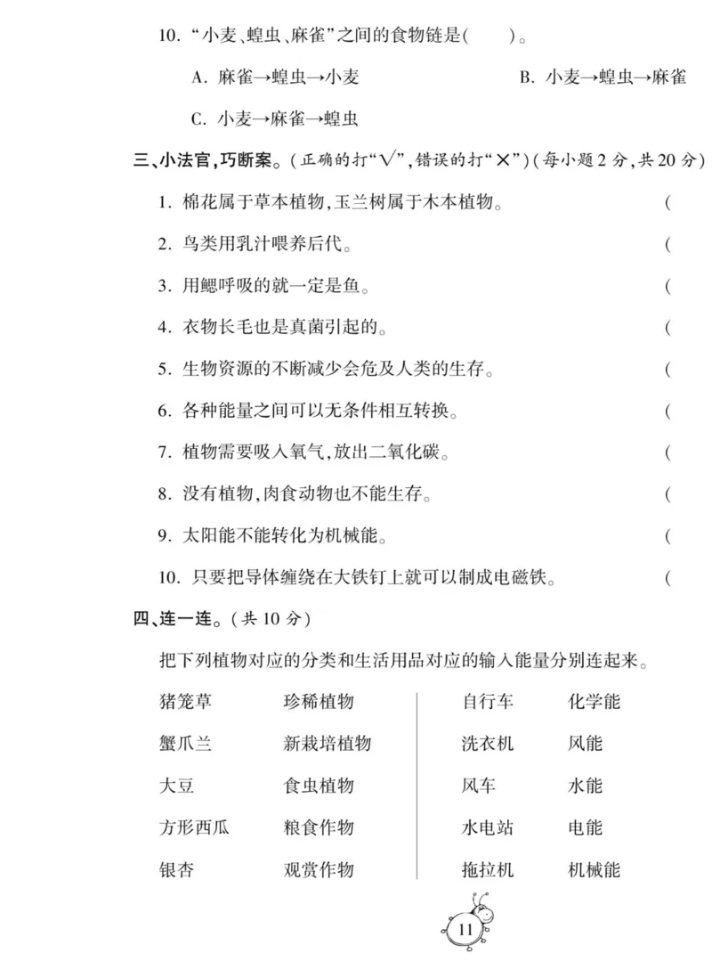 智能训练&middot;科学六年级上册冀人版_2024年人教版小学数学一二三四五六年级上册下册期中期末试a0747_小学全科《同步练习+精品试卷》打包下载（1-6年级单元月考期中期末试卷）_小学科学