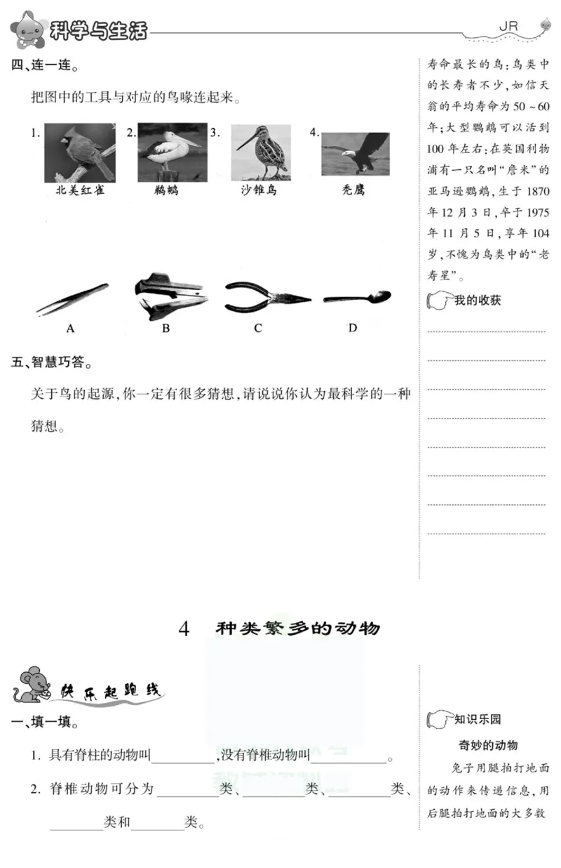 智能训练&middot;科学六年级上册冀人版_2024年人教版小学数学一二三四五六年级上册下册期中期末试a0747_小学全科《同步练习+精品试卷》打包下载（1-6年级单元月考期中期末试卷）_小学科学