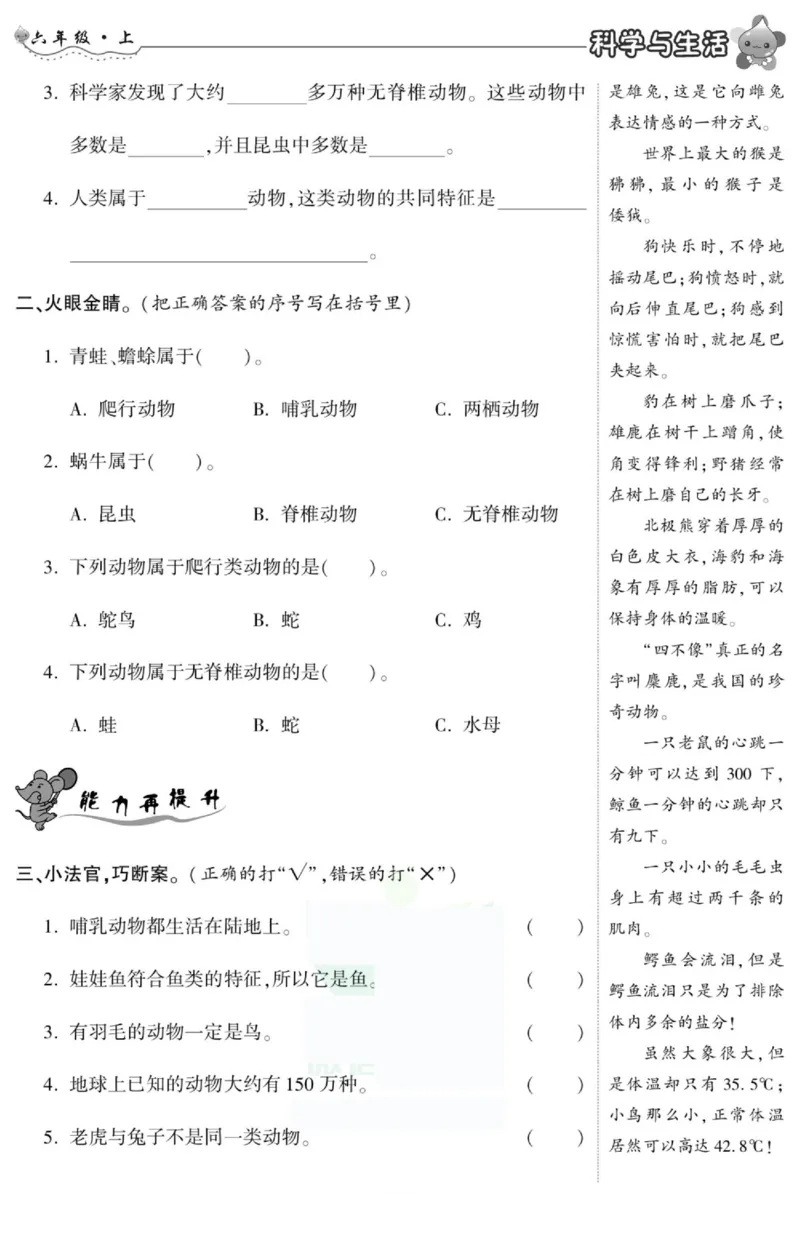 智能训练&middot;科学六年级上册冀人版_2024年人教版小学数学一二三四五六年级上册下册期中期末试a0747_小学全科《同步练习+精品试卷》打包下载（1-6年级单元月考期中期末试卷）_小学科学