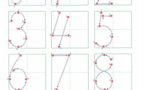 0-10书写规范描红_一年级上下册资料_小学一年级学习资料-25年更新版_1-00、幼小衔接_幼小衔接控笔练字篇