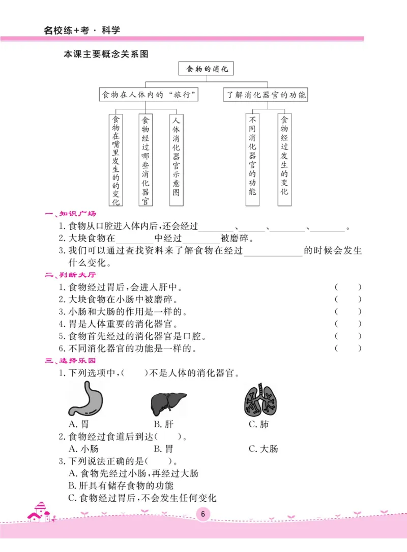 名校练+考三年级上册科学鄂教版_2024年人教版小学数学一二三四五六年级上册下册期中期末试a0747_小学全科《同步练习+精品试卷》打包下载（1-6年级单元月考期中期末试卷）_小学科学