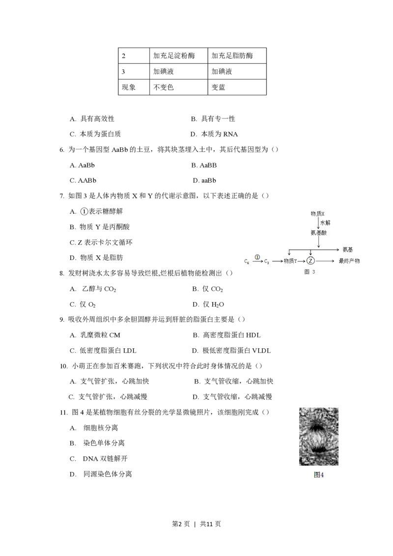 2018年高考生物试卷（上海）（空白卷）_生物历年高考真题_新&middot;PDF版2008-2025&middot;高考生物真题_生物（按试卷类型分类）2008-2025_自主命题卷&middot;生物（2008-2025）_上海自主命题&middot;生物（2008-2022）