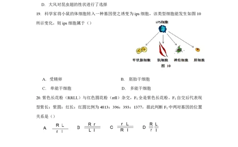 2018年高考生物试卷（上海）（空白卷）_生物历年高考真题_新&middot;PDF版2008-2025&middot;高考生物真题_生物（按试卷类型分类）2008-2025_自主命题卷&middot;生物（2008-2025）_上海自主命题&middot;生物（2008-2022）