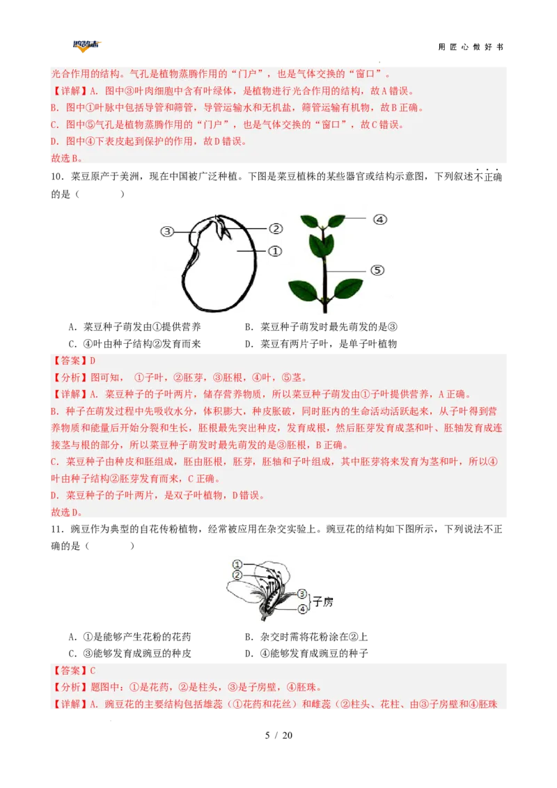 生物（云南卷）（全解全析）_2025年初中《中考第一次模拟》全国各地区模拟卷（8科全）(1)_2025年《中考第一次模拟卷》初中生物_云南&radic;