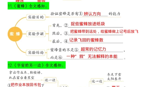 1.22三(下）语文课文内容梳理（思维导图）(1)_三年级上下册资料_小学三年级学习资料-25年更新版_3-02、小学三年级语文下册_3-2-1、学习资料、复习、知识点、归纳汇总